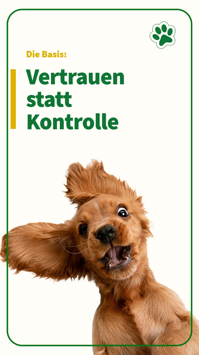 Die Basis: Vertrauen statt Kontrolle