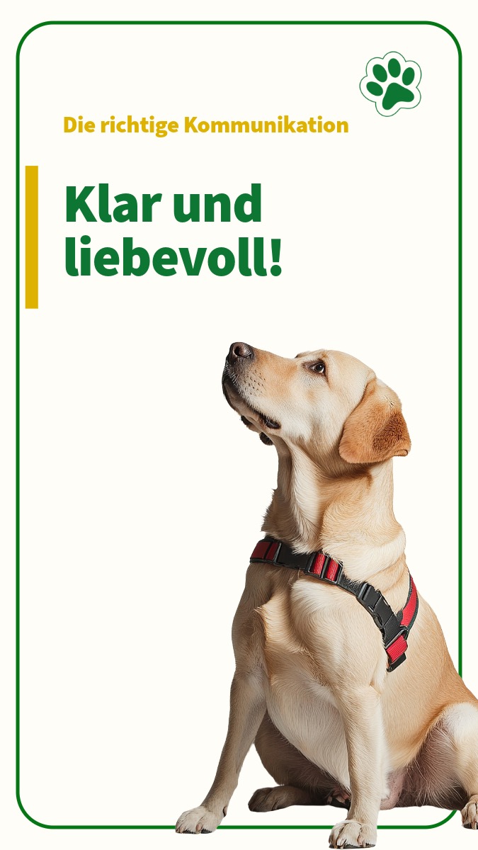Die richtige Kommunikation – klar und liebevoll
