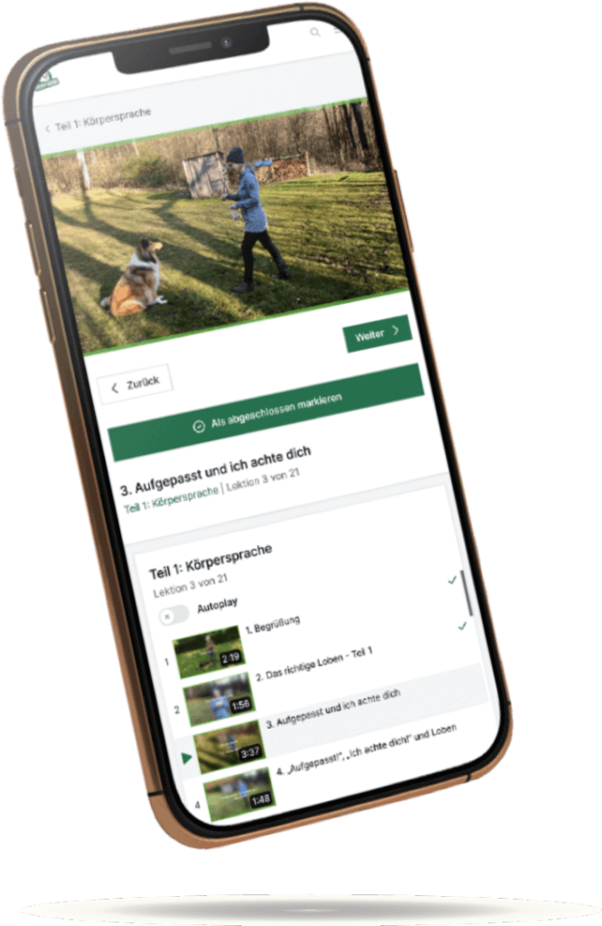 Körpersprache bei Hunden & Welpen