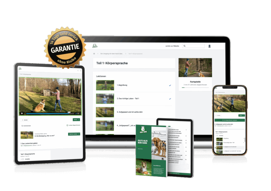 Onlinekurs Welpentraining